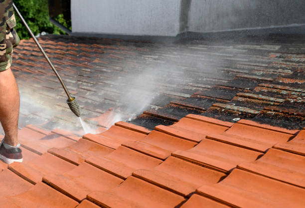 Best Pressure Washing Company Near Me  in Norton, OH